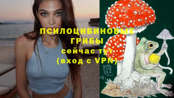 эйфоретик Пестово